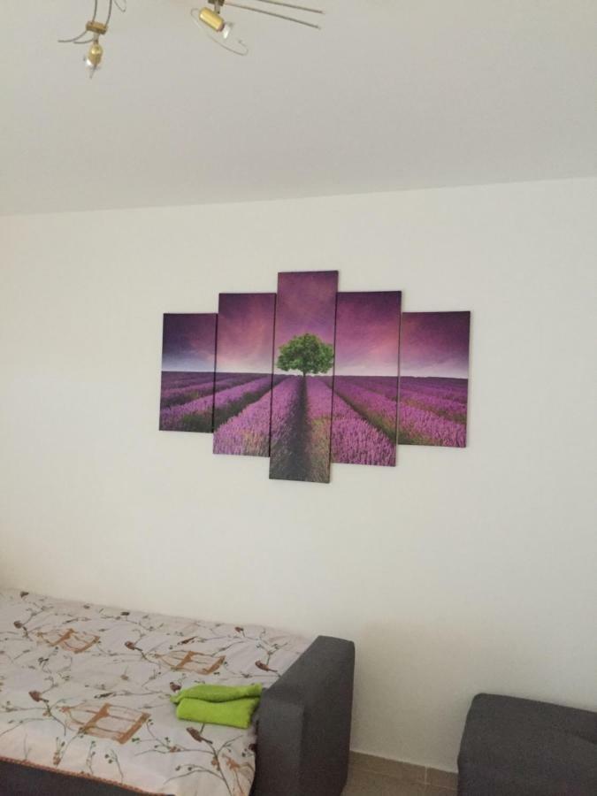 Apartment Brno Póla Kültér fotó